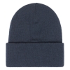 Element High Icon Beanie