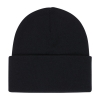 Element High Icon Beanie