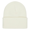 Element High Icon Beanie
