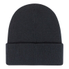 Element Mid Icon Beanie Rib