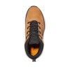 Timberland Field Trekker Low