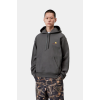 Carhartt WIP Hooded American Script
