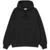 Carhartt WIP Hooded Ray Sweat