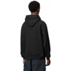 Carhartt WIP Hooded Ray Sweat