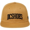DC Shoes Semi-Pro Snapback