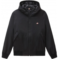 Dickies New Sarpy