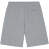 DK0A4Y83-GYM, Dickies Mapleton Cinzento