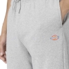 DK0A4Y83-GYM, Dickies Mapleton Cinzento