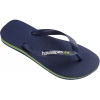 4110850-0555, Brasil Logo Azul