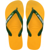 4110850-1740,Havaianas Brasil Logo