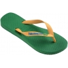 4110850-2079,Havaianas Brasil Logo