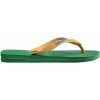 4110850-2079,Havaianas Brasil Logo