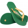 4110850-2079,Havaianas Brasil Logo