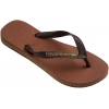 4110850-2815,Havaianas Brasil Logo