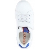 331D24W-A1W, Kappa Adenis Ev Inf