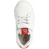 331D24W-A66, Kappa Adenis Ev Inf