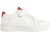 331D24W-A66, Kappa Adenis Ev Inf